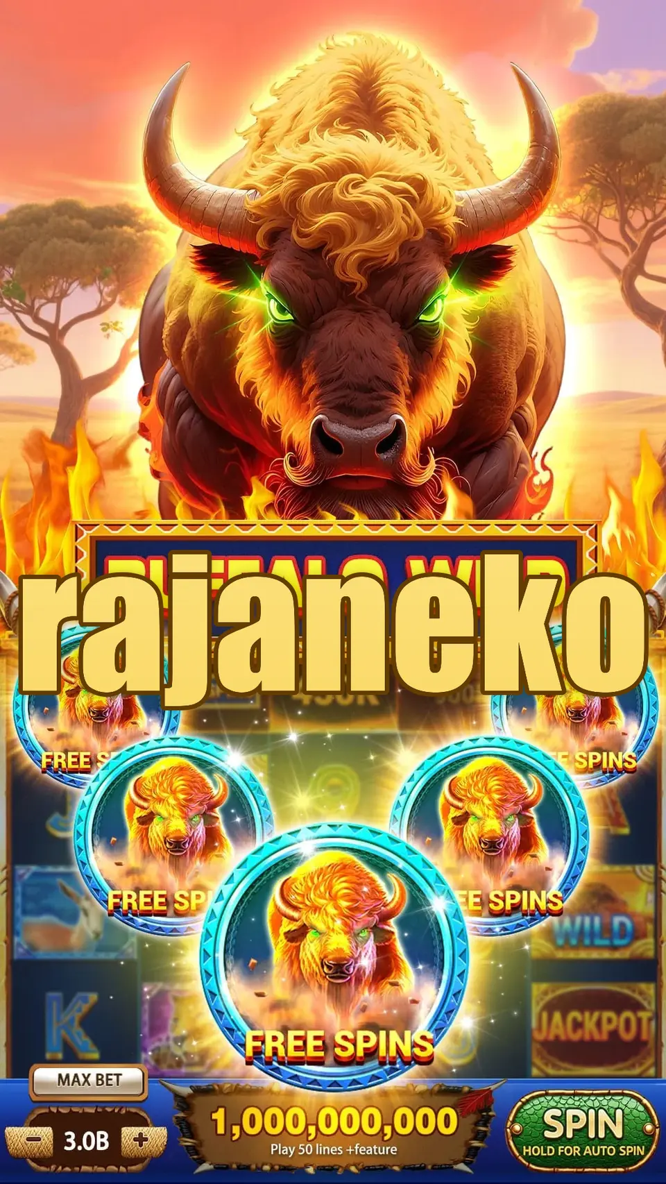 rajaneko Masuk